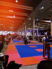 70514319_1105820289615755_5147027492573282304_n