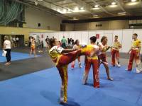 69862958_1087542528110198_9040773203072385024_n